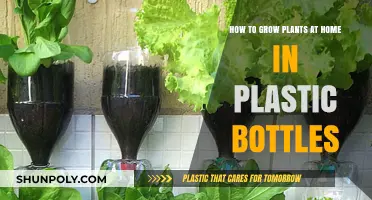 Eco-Friendly Gardening: Growing Plants in Plastic Bottles at Home