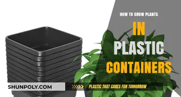 Growing Plants in Plastic Containers: A Guide