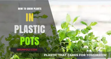 Plastic Pot Gardening: Tips for Success