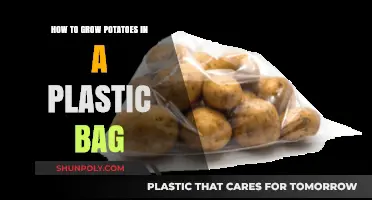 Easy Plastic Bag Potato Growing: A Step-by-Step Guide for Beginners