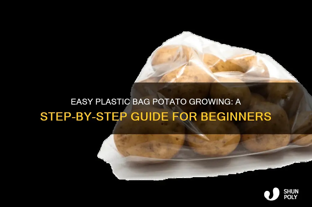 how to grow potatoes in a plastic bag