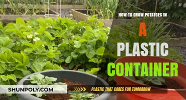 Grow Potatoes in Plastic Containers: Easy Steps for Success