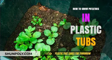 Grow Potatoes in Plastic Tubs: A Step-by-Step Guide