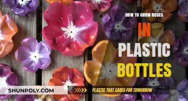 Eco-Friendly Rose Gardening: Growing Roses in Plastic Bottles