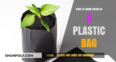 Simple Plastic Bag Seed Starting: A Beginner's Guide to Growing