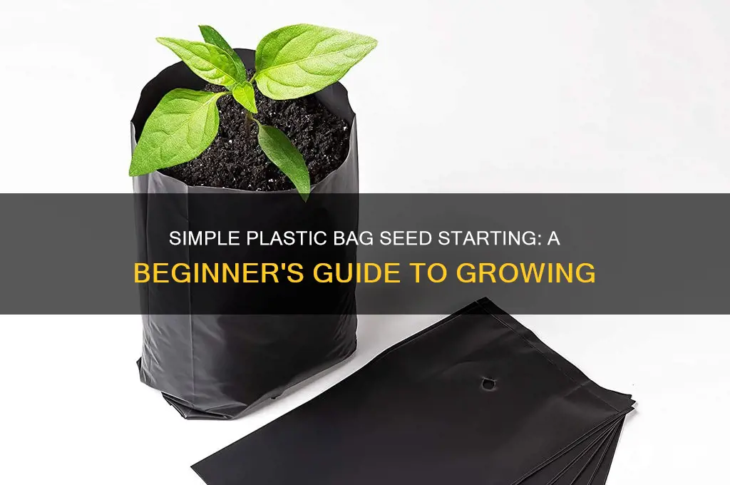 how to grow seeds in a plastic bag