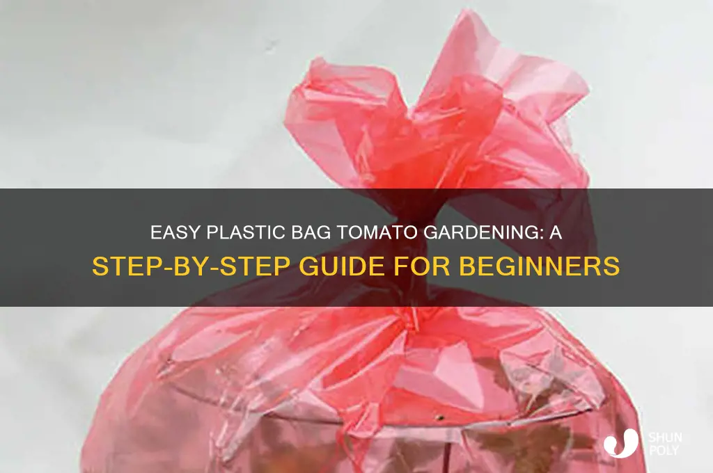 how to grow tomatoes in plastic bags