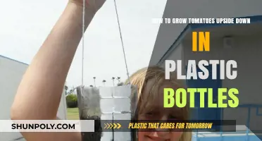 Upside-Down Tomato Gardening: Plastic Bottle Growing Guide