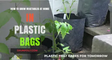 Easy Home Gardening: Growing Vegetables in Plastic Bags