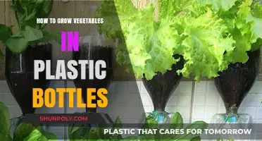 Eco-Friendly Gardening: Growing Vegetables in Plastic Bottles Easily