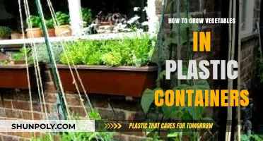 Grow Veggies in Plastic Containers: A Step-by-Step Guide