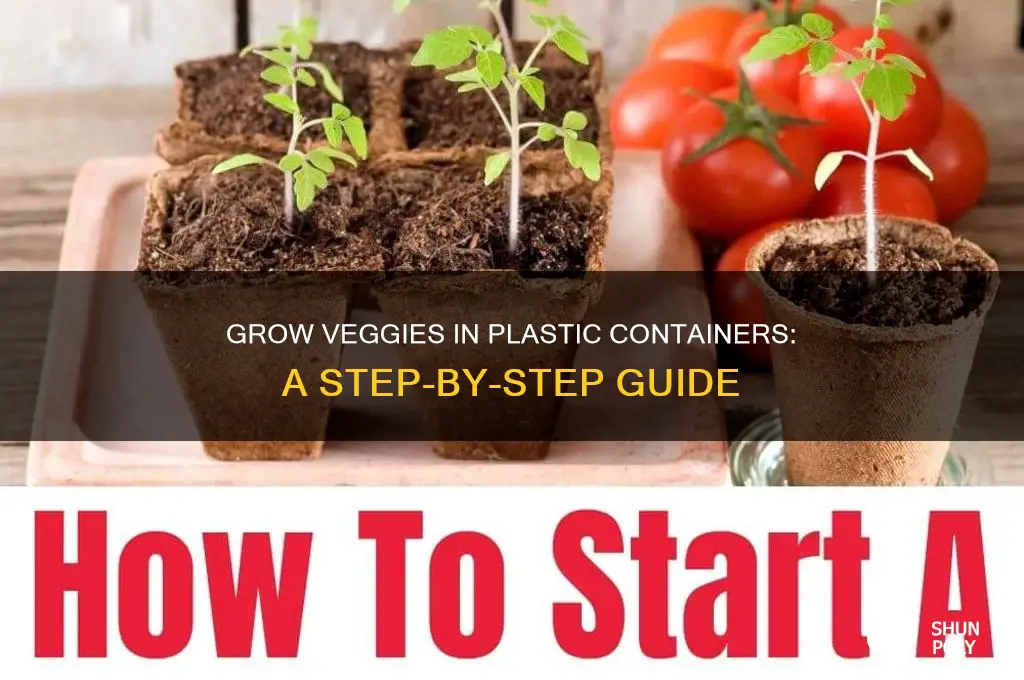 how to grow vegetables in plastic containers