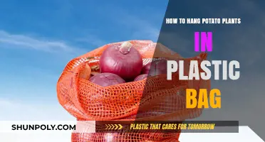 Hanging Potato Plants in Plastic Bags: A Simple Growing Guide