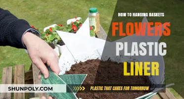 Hanging Basket Liners: Plastic or Moss?