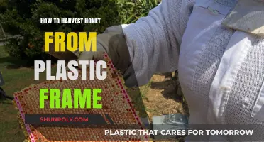 Extracting Honey from Plastic Frames: A Step-by-Step Guide