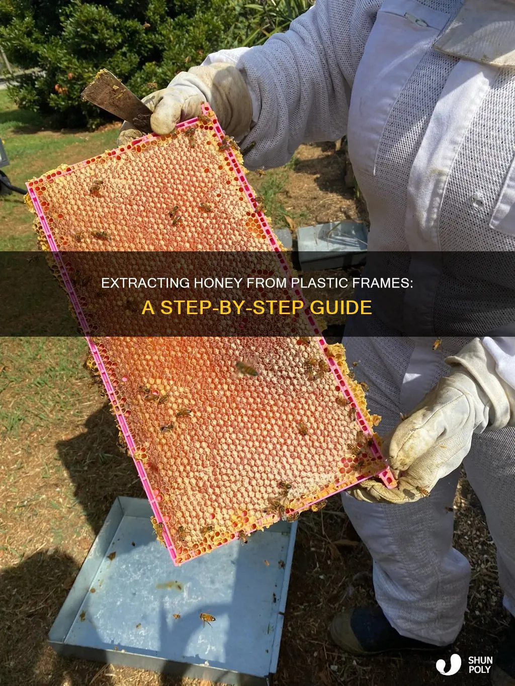 how to harvest honet from plastic frame