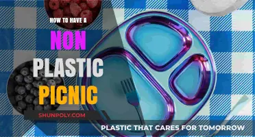 Green Picnicking: Plastic-Free and Fun!