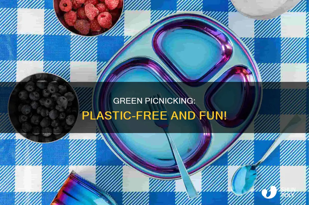 how to have a non plastic picnic