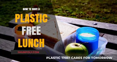 Plastic-Free Lunch: Simple Steps for a Green Meal
