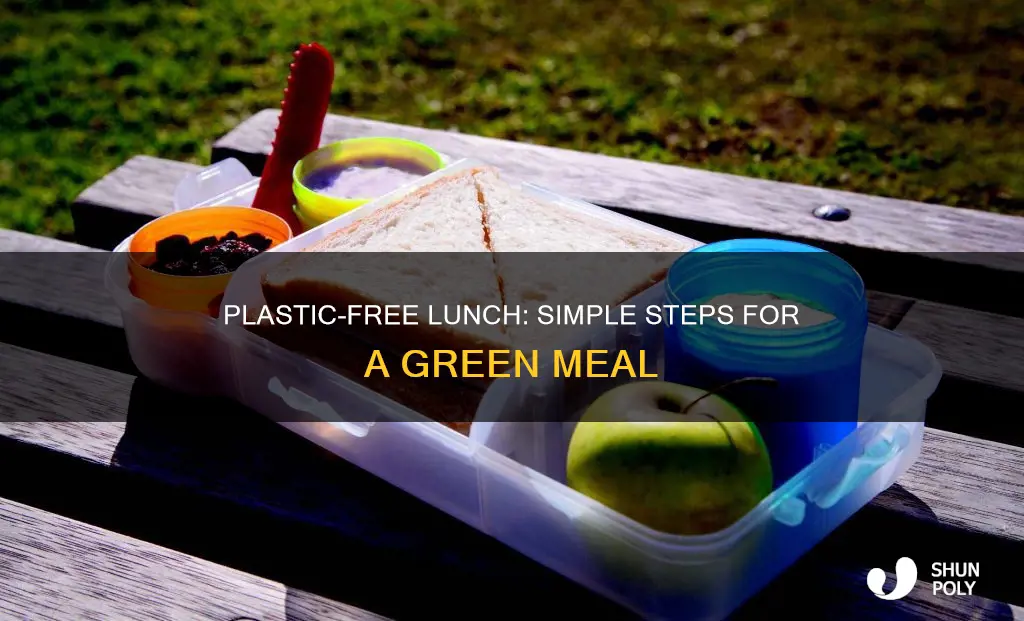 how to have a plastic free lunch