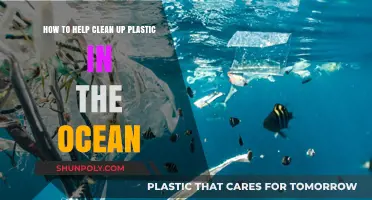 Tackling Ocean Plastic: Practical Steps to Clean and Protect Our Seas