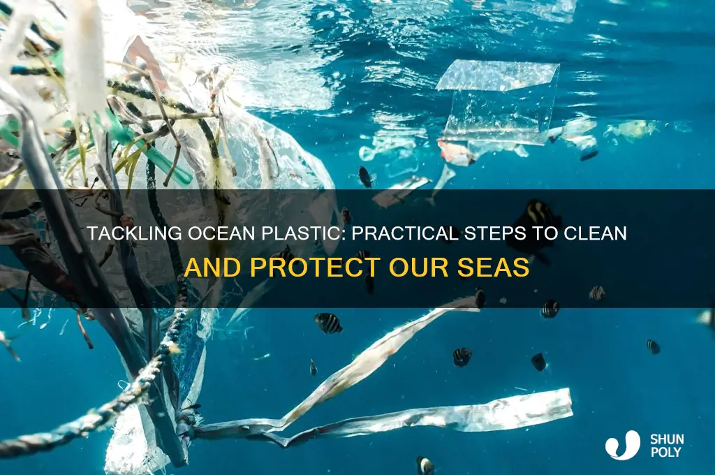 how to help clean up plastic in the ocean