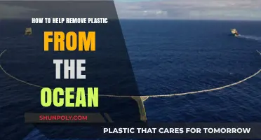 Effective Strategies to Combat Ocean Plastic Pollution and Restore Marine Ecosystems