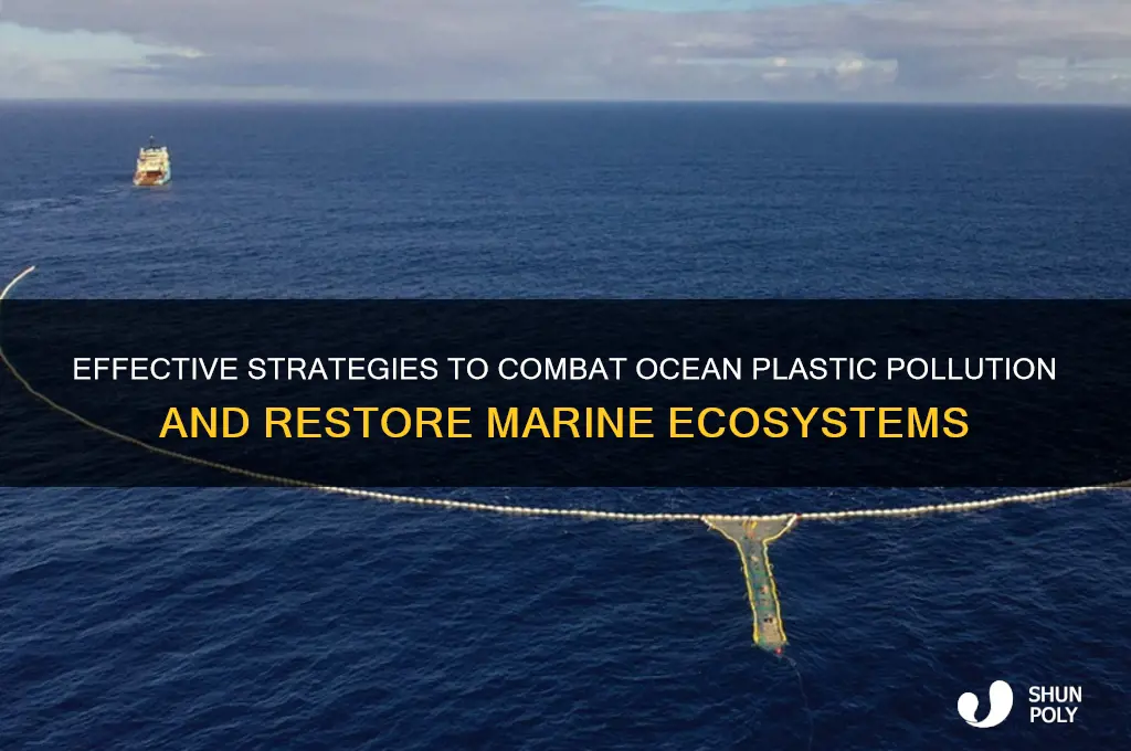 how to help remove plastic from the ocean