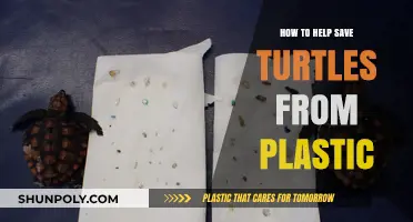 Protecting Turtles: Reducing Plastic Use