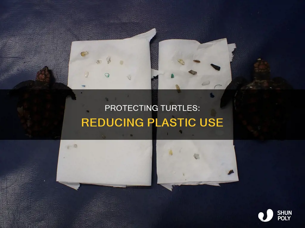 how to help save turtles from plastic
