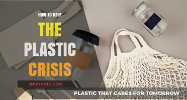 Act Now: Simple Ways to Help Plastic Crisis