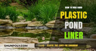 Concealing Your Pond Liner: Creative Camouflaging Techniques
