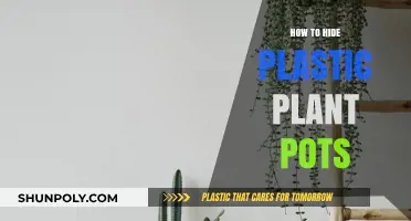 Creative Ways to Conceal Plastic Plant Pots