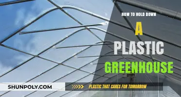 Securing Your Plastic Greenhouse: Effective Ways to Hold it Down