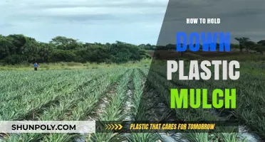 Holding Down Plastic Mulch: Effective Ways to Secure Your Garden