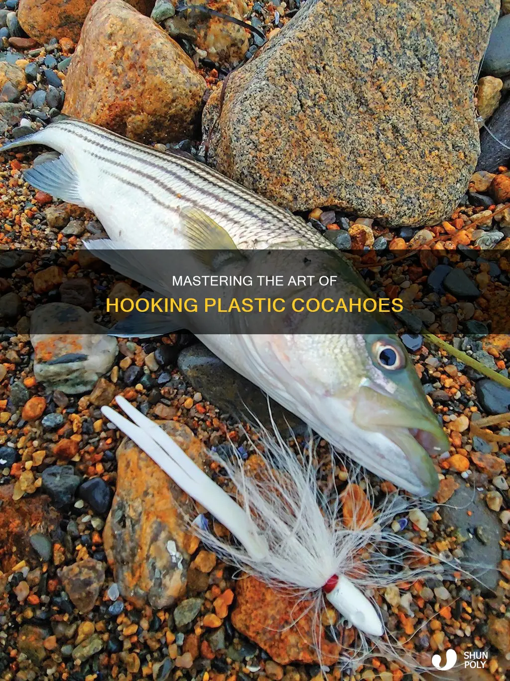 how to hook a plastic cocahoe