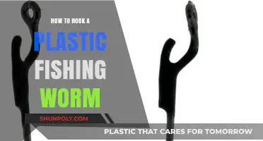 The Perfect Plastic Worm Rigging for Fishing