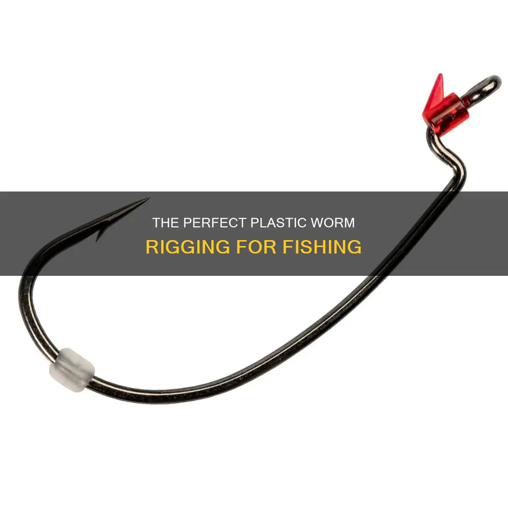 how to hook a plastic fishing worm