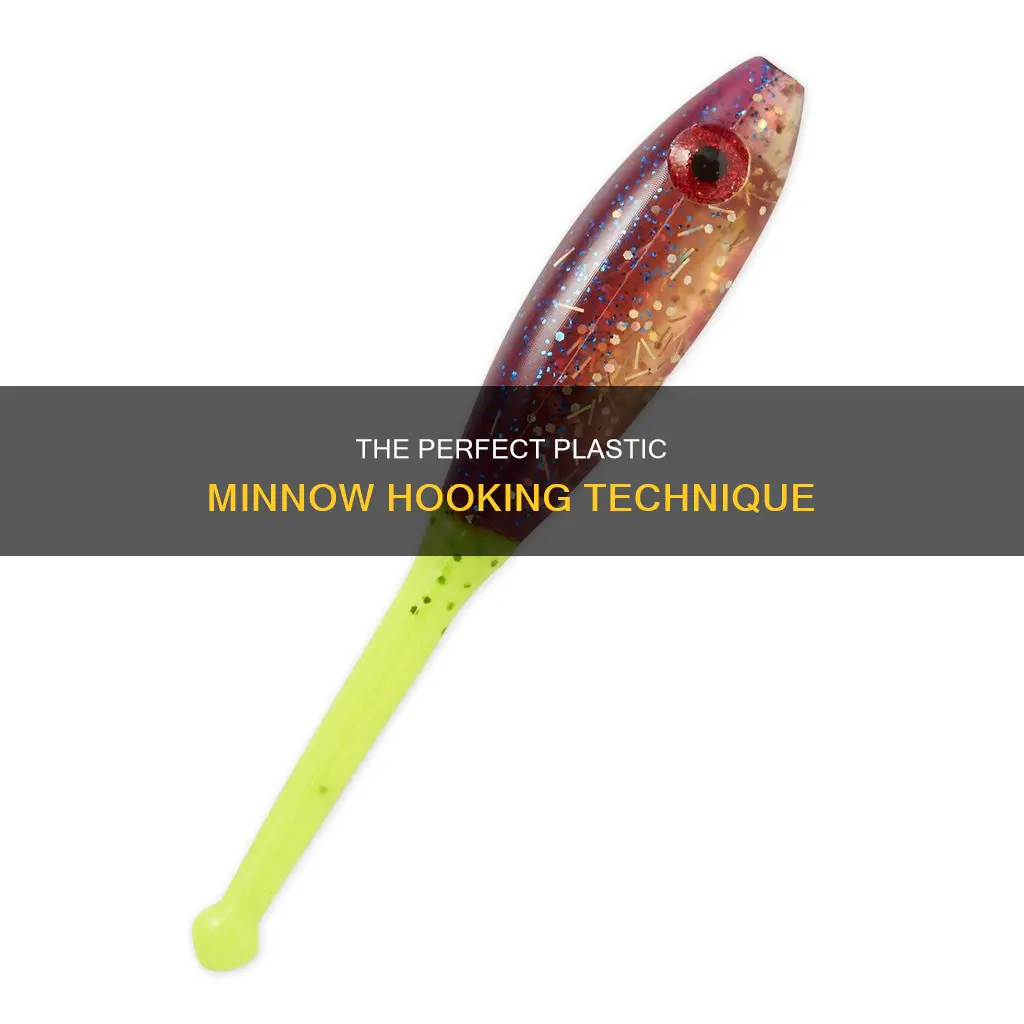 how to hook a plastic minnow