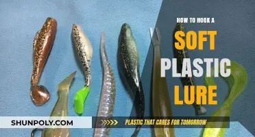 Soft Plastic Lures: The Ultimate Hooking Guide