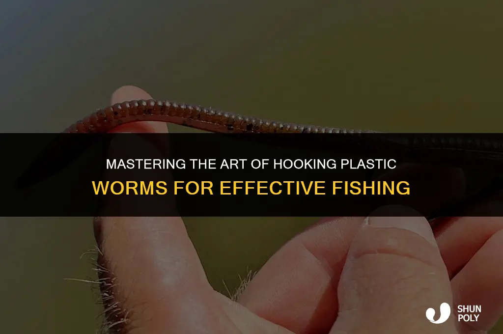 how to hook plastic worm