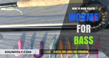Bass Fishing: Best Hooks for Plastic Worms