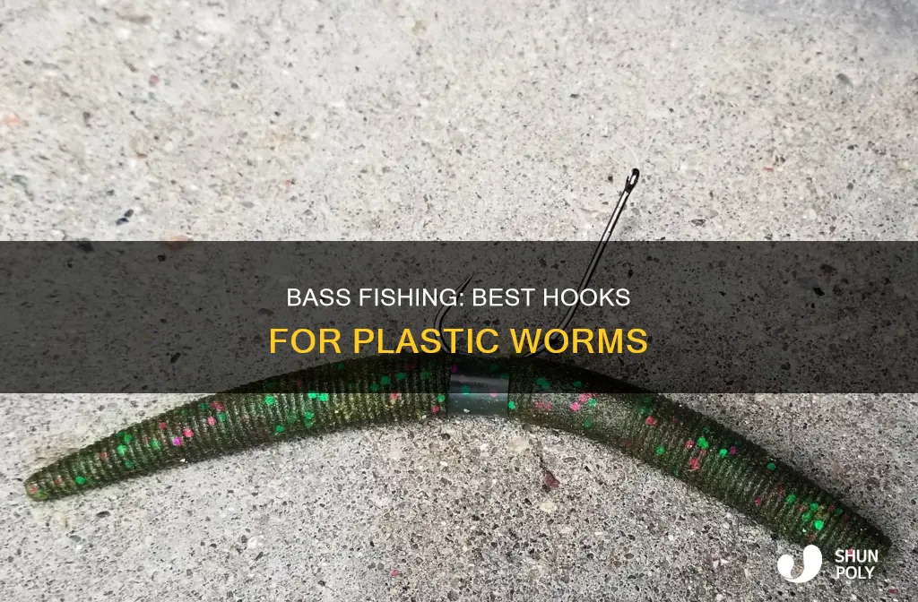 how to hook plastic worms for bass