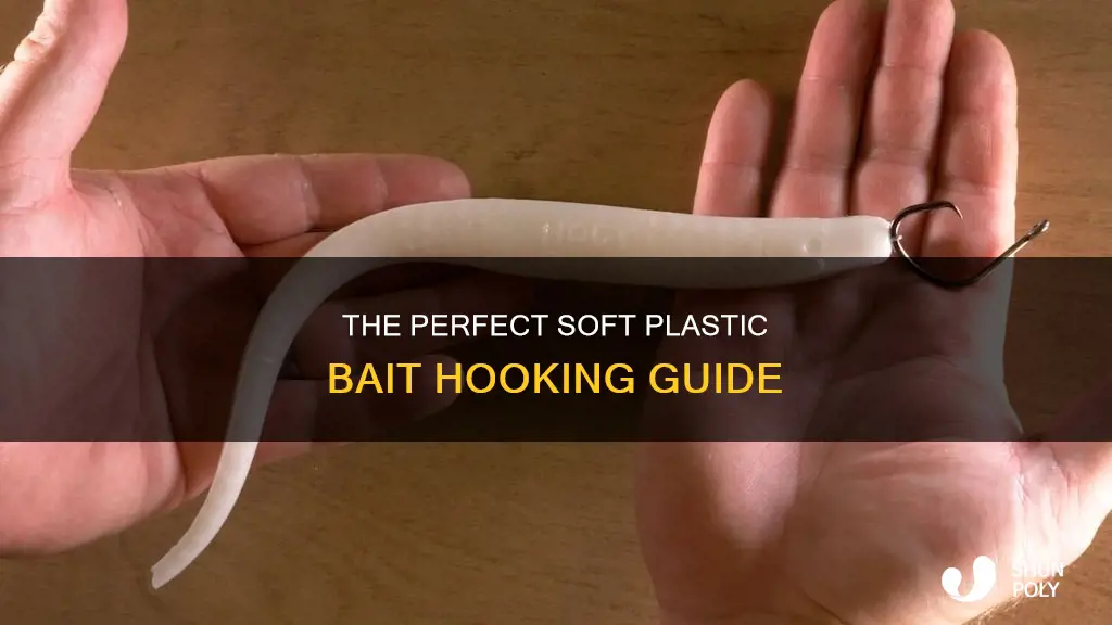 how to hook soft plastic bait