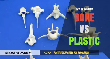 Differentiating Bone and Plastic: A Quick Guide