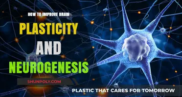 Unlocking Brain Power: Enhancing Neuroplasticity and Neurogenesis