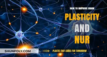 Unlocking Brain Power: Enhancing Neuroplasticity and Neuronal Health