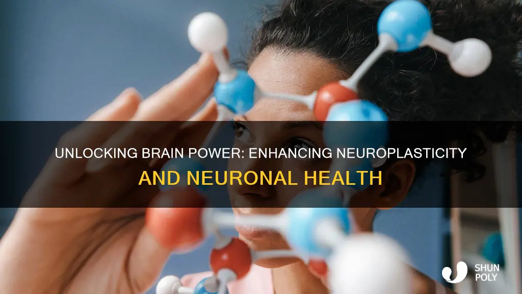 how to improve brain plasticity and nur