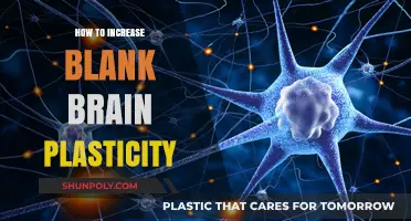 Unlocking Brain Plasticity: Strategies to Enhance Cognitive Flexibility
