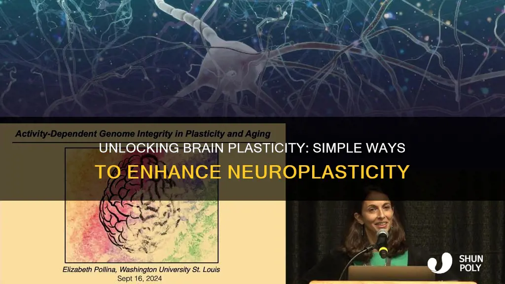 how to increase plasticity in brain